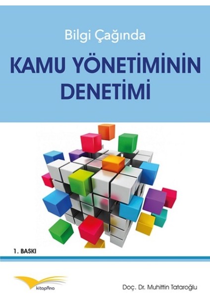 Bilgi Çağında Kamu Yönetiminin Denetimi