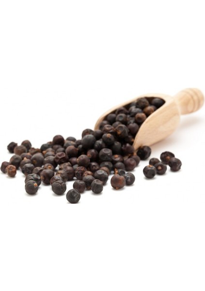 Ardıç Tohumu 100 gr