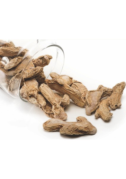 Kök Zencefil 100 gr