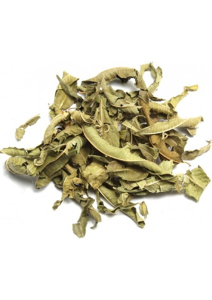Melisa Yaprağı 100 gr