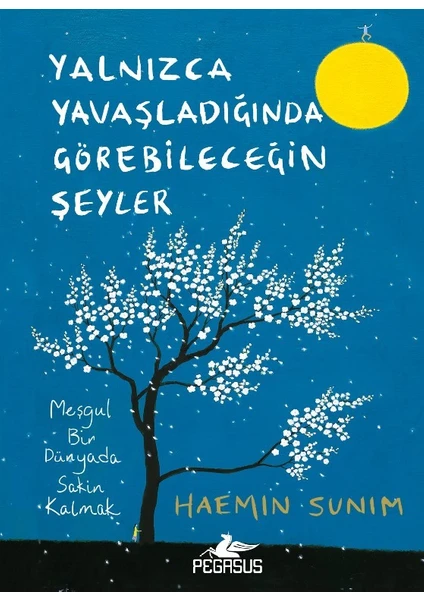 Yalnızca Yavaşladığında Görebileceğin Şeyler - Ciltli - Haemin Sunim