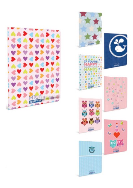 Ofset Mıca A4 - 100 Yaprak Çizgili Plastik Kapak Defter