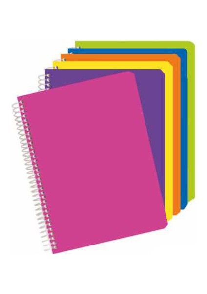 100 Yaprak Çizgili Sp A4 Plastik Kapak Defter