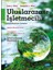 Uluslararası İşletmecilik - Küreselleşmenin Zorlukları 1