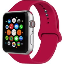 Bushco Store Silikon Apple Watch Uyumlu Kordon-S/m 38-40 FORSIS025