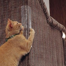 Pet Home 4'lü Kedi Tırmalama Koruyucu (Yurt Dışından)