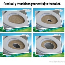 Anka Citikitty Kedi Tuvalet Eğitim Seti