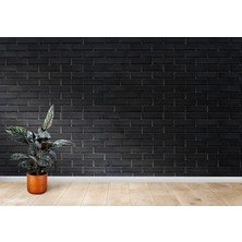 Marshall Plastik Mat Siyah Su Bazlı Iç Duvar Boyası 2.5lt=4kg-Silinebilir-Mükemmel Matlık-Örtücülük