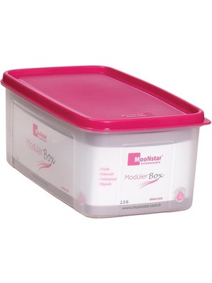 Geseus Moon Star Modüler Çok Amaçlı Saklama Kabı 2,5 Litre Ms-04