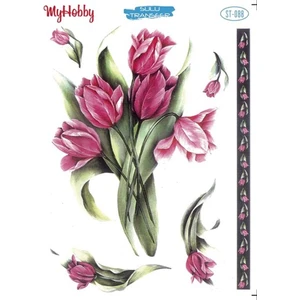 My Hobby St 088 Sulu Transfer 25X35