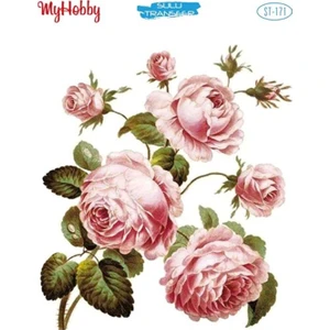 My Hobby St 171 Sulu Transfer 25X35