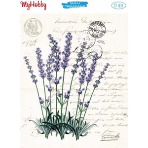 My Hobby St 031 Sulu Transfer 25X35