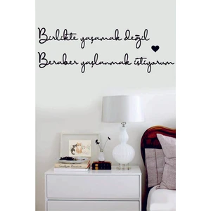 Evde Ucuz Birlikte Yaşamak Değil,beraber Yaşlanmak Istiyorum Duvar Yazısı