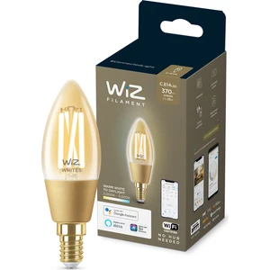25W Sarı-Beyaz Ambiyans E14 Akıllı Filament Ampul (C35)