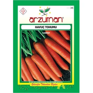 Sebze Nantes Havuç Tohumu