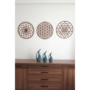 Evde Ucuz Yaşam Çiçeği Sriyantra ve Torus 3 Lü Set Kutsal Geometri Torus Nefesi ve Shri Yantra