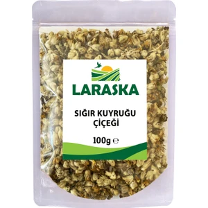Sığır Kuyruğu Çiçeği 100 gr
