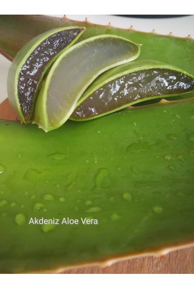 Akdeniz Aloe Vera % 100 Saf Aloe Vera Jeli 300 Ml.