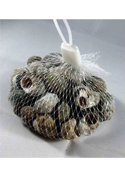 %100 Naturel Doğal Gerçek Deniz Kabuğu 500 Gram MMM4760