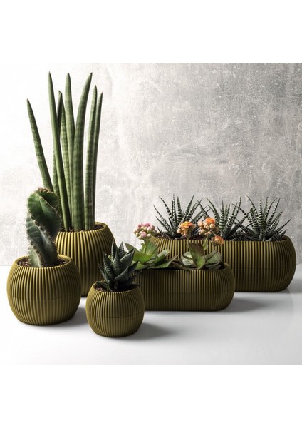 5 Parça Mercan Saksı Seti Soft Sarı 5 Adet Plastik Kaktüs Sukulent Saksısı