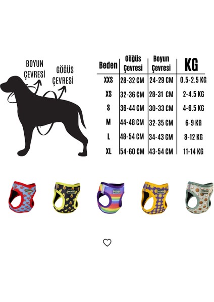 Köpek Göğüs Tasması Gökkuşağı Desenli Metal Tokalı Hava Alan Renkli Xs