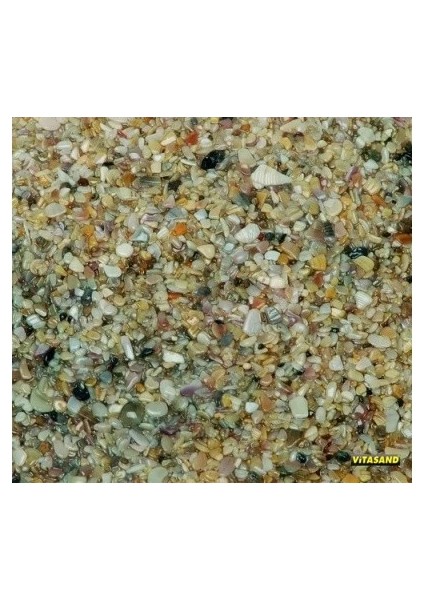 Akvaryum Kumu Gerçek Midye Kırığı Içerikli 1 kg