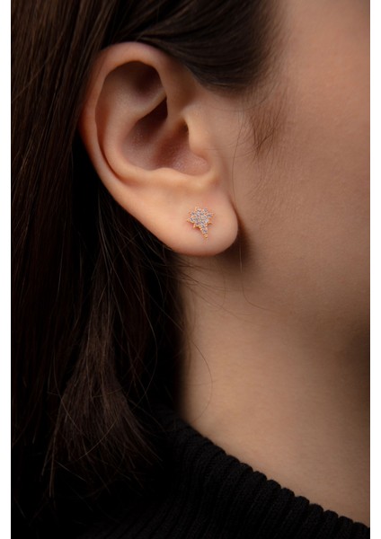 Kutup Yıldızlı Zirkon Taşlı 925 Ayar Gümüş Rose Kadın Küpe fiyatları