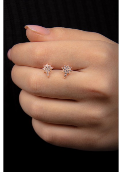 Kutup Yıldızlı Zirkon Taşlı 925 Ayar Gümüş Rose Kadın Küpe modelleri