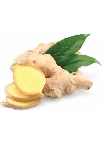 Zencefil Paket 250 gr