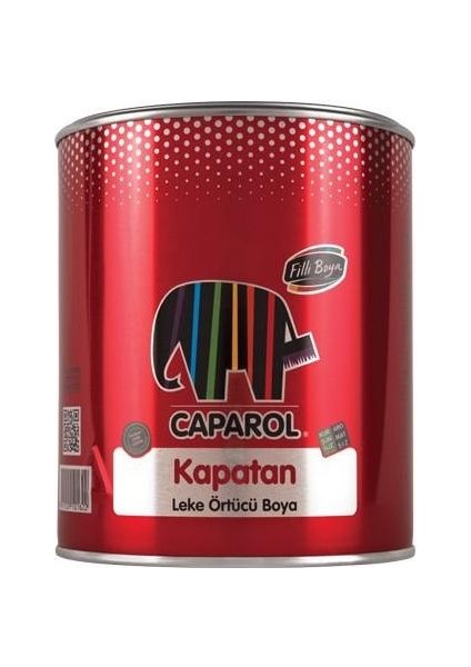 Caparol Kapatan 2.5 Litre