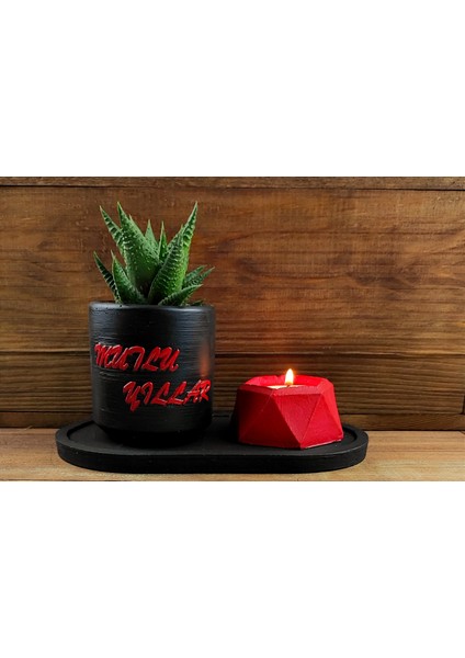 3'lü Sukulent Saksı Tealight Mumluk Seti 01
