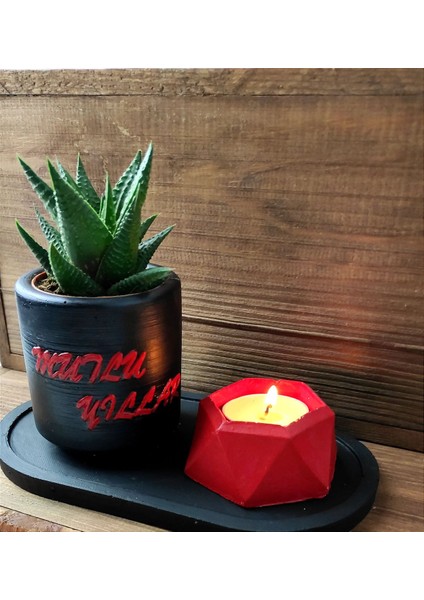 3'lü Sukulent Saksı Tealight Mumluk Seti 01 fiyatları