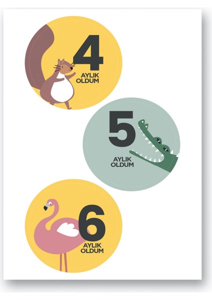 Bebek Sticker Seti modelleri