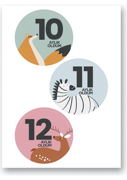 Bebek Sticker Seti fırsatları