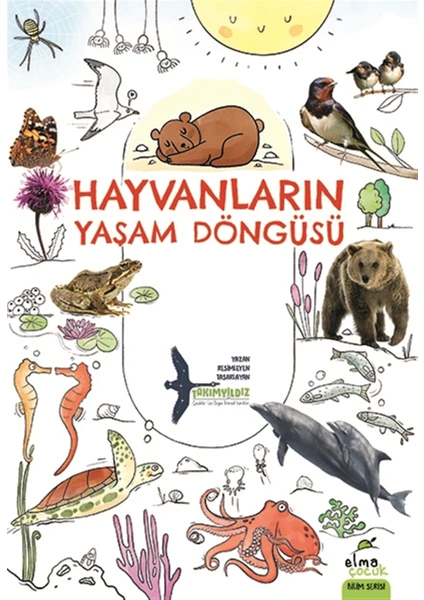 Hayvanların Yaşam Döngüsü - Takımyıldız