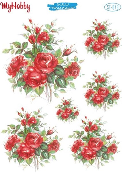 St 073 Sulu Transfer 25X35