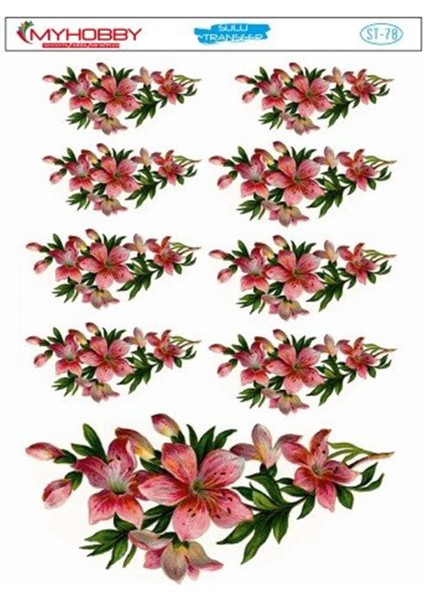 St 078 Sulu Transfer 25X35