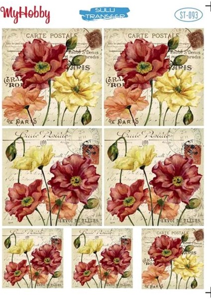 St 093 Sulu Transfer 25X35