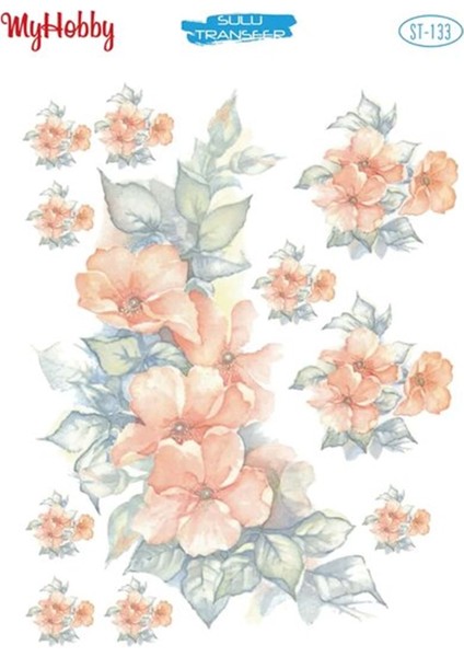 St 133 Sulu Transfer 25X35