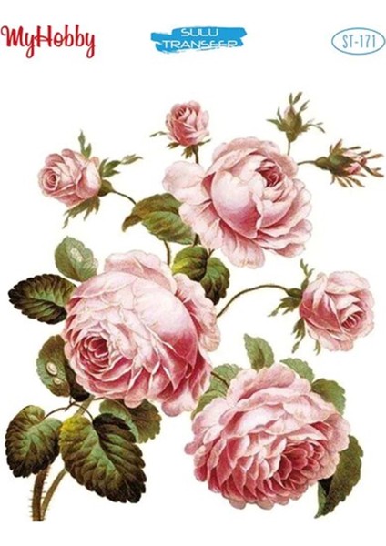 St 171 Sulu Transfer 25X35