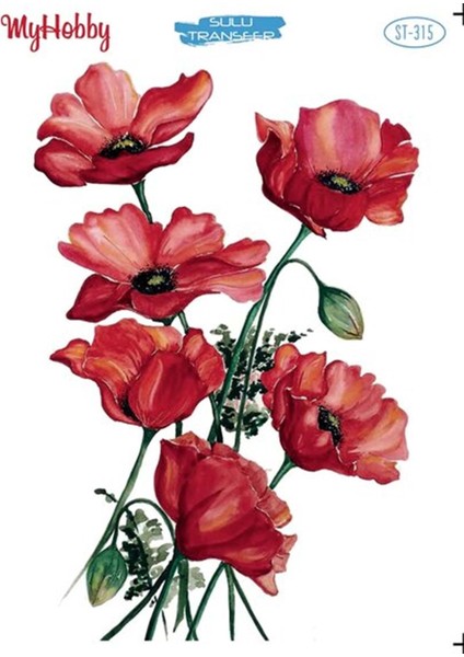 St 315 Sulu Transfer 25X35