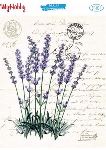 St 031 Sulu Transfer 25X35