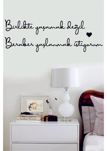 Evde Ucuz Birlikte Yaşamak Değil,beraber Yaşlanmak Istiyorum Duvar Yazısı