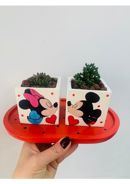 Micky-Minnie Saksı