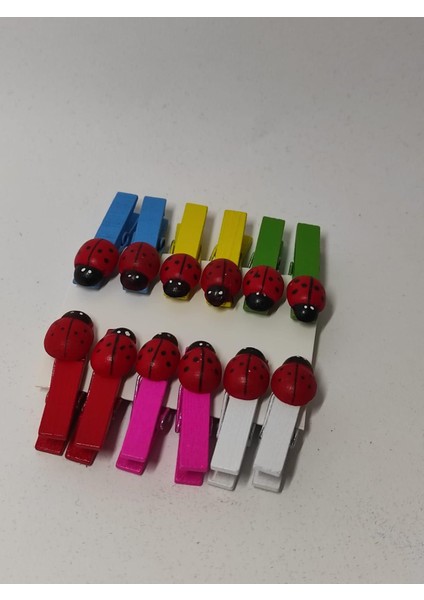 Mini Mandal 10 Lu Uğur Böceği Tasarımlı Dekoratif Fotoğraf Mandalı