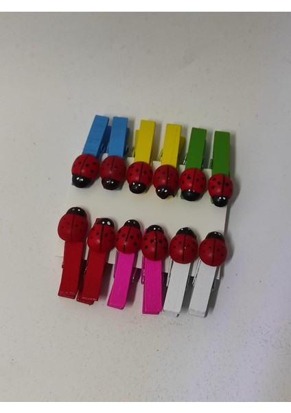 Mini Mandal 10 Lu Uğur Böceği Tasarımlı Dekoratif Fotoğraf Mandalı fiyatları
