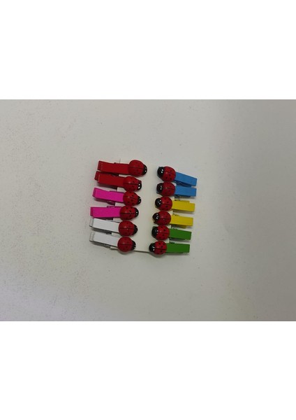 Mini Mandal 10 Lu Uğur Böceği Tasarımlı Dekoratif Fotoğraf Mandalı modelleri