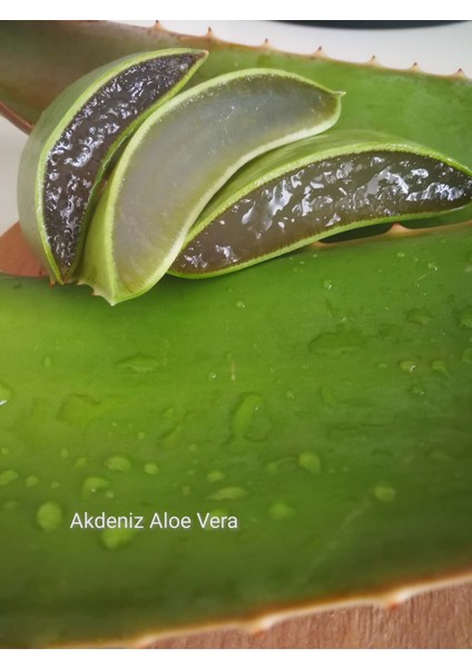 Akdeniz Aloe Vera % 100 Saf Aloe Vera Jeli 330 Ml.