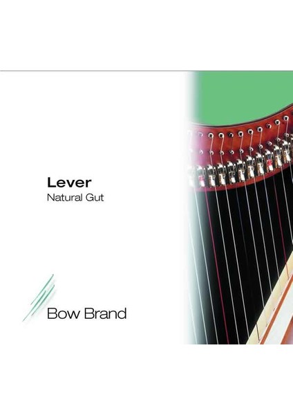 Arp Teli Bow Brand Bağırsak 5. Octave E (Mi) Lever