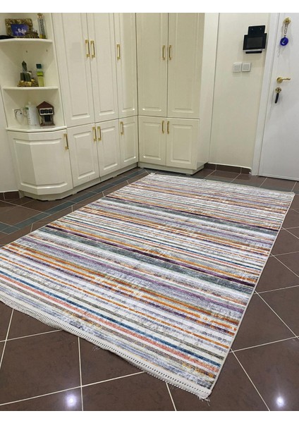 Modern-Avangard Baskılı Halı Yıkanabilir Dokuma Taban Renkli Çizgili VH028